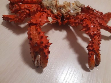 Открытия на Дальнем Востоке: что привез муж с удивительной поездки