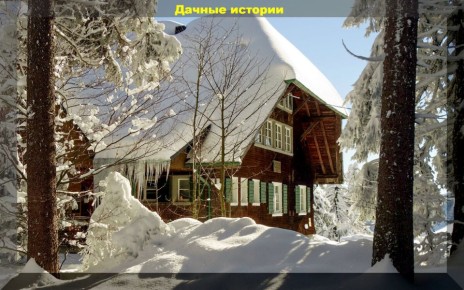 Секреты успешного дачного сезона: все, что нужно знать начинающим