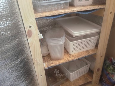 Как привычные контейнеры для рассады могут превзойти дорогую профессиональную тару