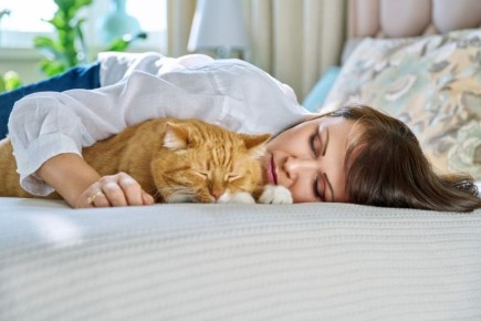 Почему ваша кошка выбирает вас для совместного сна?