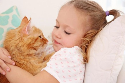 10 пород кошек, которые станут идеальными спутниками для семей с детьми