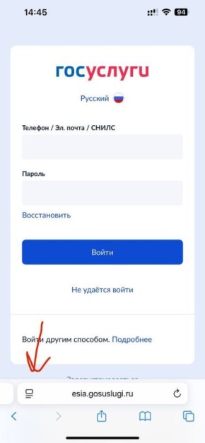 Госуслуги обновили правила: как обойтись без приложения Max
