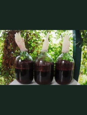 Как приготовить домашнее вино: простые шаги к вашему идеальному напитку