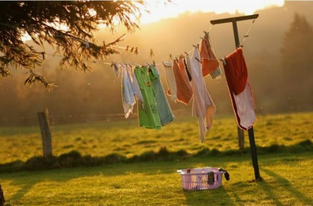 Сушка белья: сушильная машина или солнечный свет – что выбрать в 2025 году?