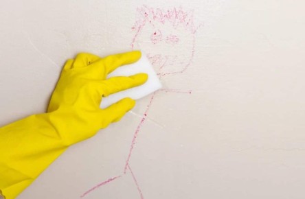 Меламиновые губки: неожиданный источник микропластика угрожает экологии