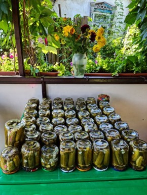 Вкус, который покорит на зиму