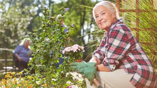 Веранда на даче будет как вход во дворец: посадите на нее эти цветы уже сейчас