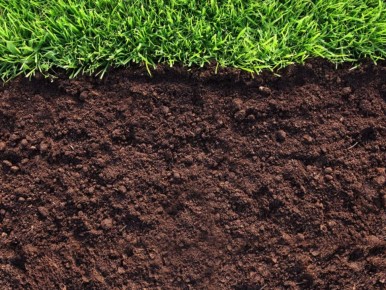 Секреты урожая: как сократить затраты на удобрения и при этом заработать на урожае