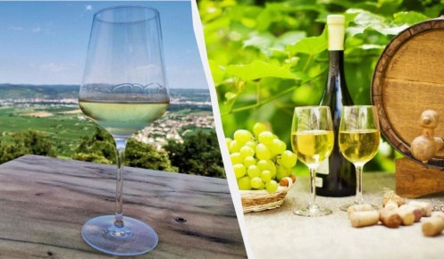 Что происходит с вашим организмом при ежедневном употреблении белого вина?