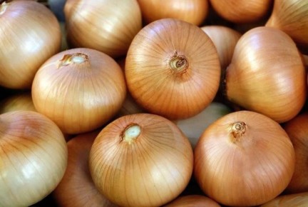 Выращивание зелёного лука в зимний период в теплице