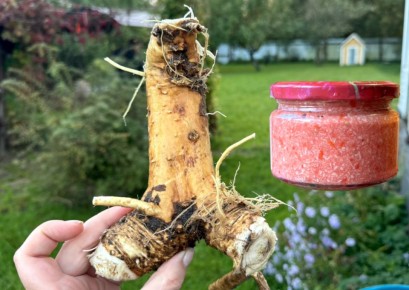 Зимние закуски: восхитительный хренодер как идеальное дополнение к столу