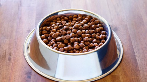 Так хранить корм для собак и кошек нельзя: испортится быстрее, чем выйдет срок