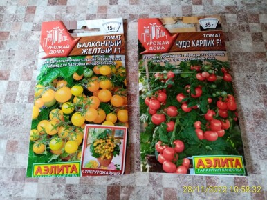 Неожиданные успехи в проращивании томатов