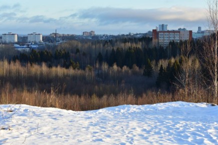 Зимнее солнце. Фото редакции