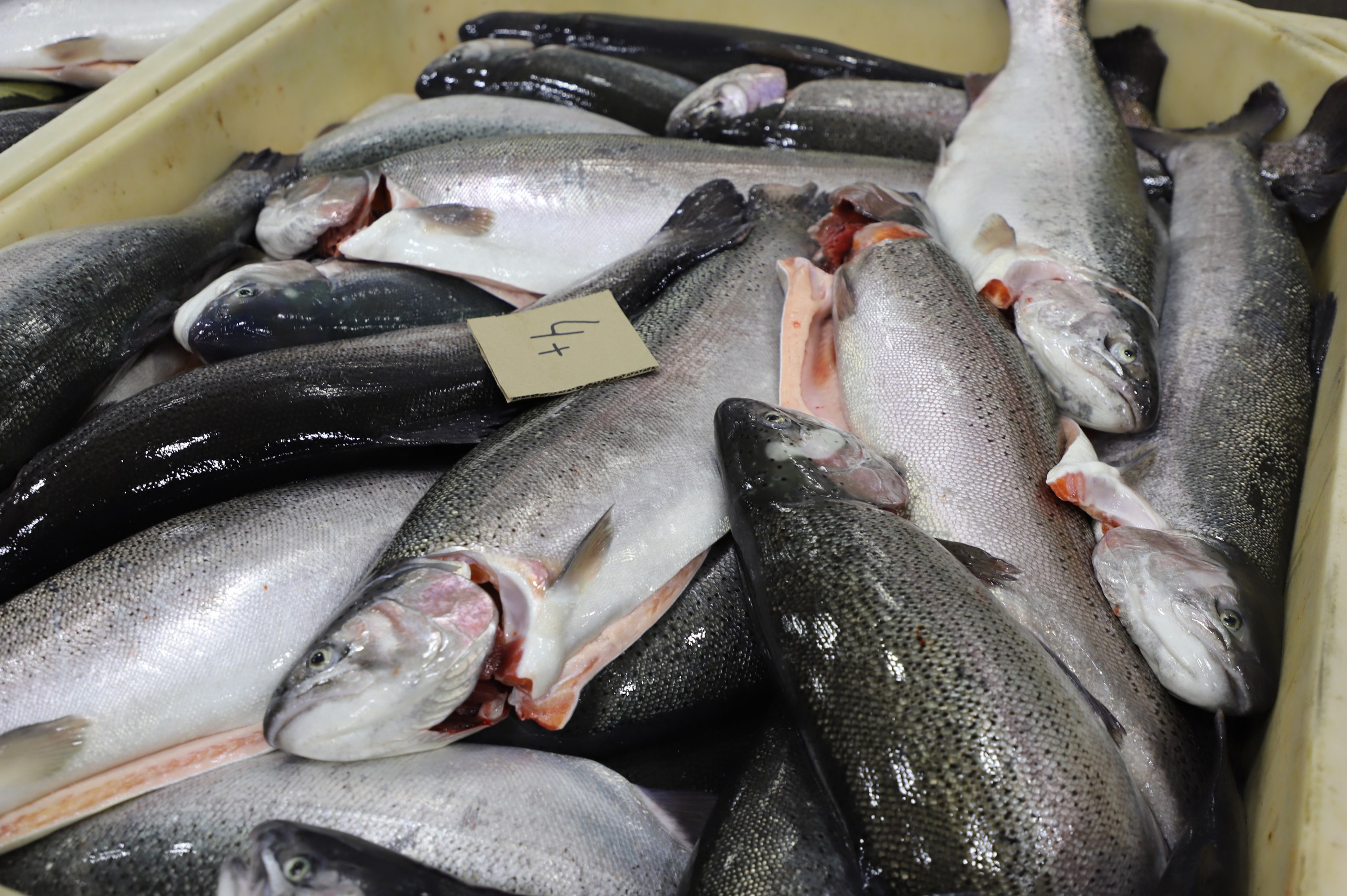 «Масштабы производства впечатляют» «Масштабы производства впечатляют»