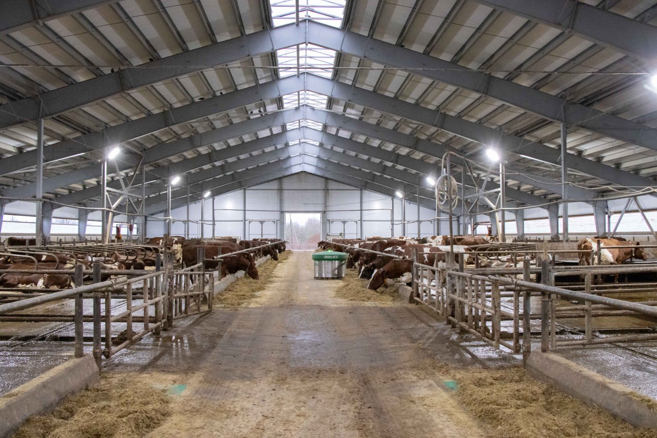 Ирина Кузичева о комплексе племсовхоза «Ильинское» в Видлице: «Каждый бюджетный рубль работает на устойчивое развитие» Ирина Кузичева о комплексе племсовхоза «Ильинское» в Видлице: «Каждый бюджетный рубль работает на устойчивое развитие»