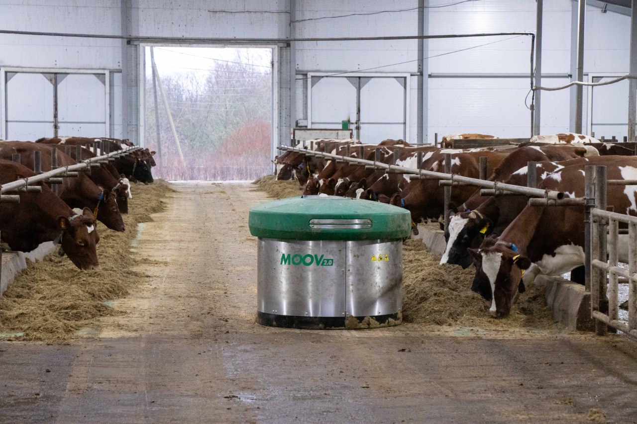 Ирина Кузичева о комплексе племсовхоза «Ильинское» в Видлице: «Каждый бюджетный рубль работает на устойчивое развитие» Ирина Кузичева о комплексе племсовхоза «Ильинское» в Видлице: «Каждый бюджетный рубль работает на устойчивое развитие»