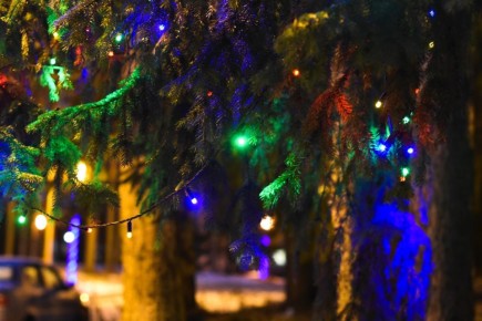 ���� ����������������� ��������� � ������ ����!