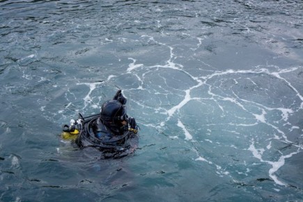 �������-�������� � ��������: ��� ��������� ������� ����������� ���� �� ������ ����� �����������