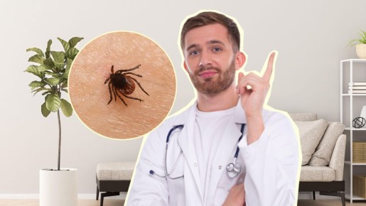 �������� ��� ����� �� ����� ����� �����: ����� ������ ��������� �����������