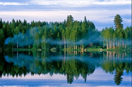 Вести Карелия. Главное за день: