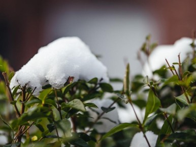 ������ ������� ��������: ��� �������� ��� �� ������ ��������