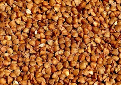 ������ ������ � ���� ������ ������ �����������: ������� ������ ���� � �� ��������