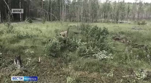 30-����� ������� �������� ���� ������������ ������������� �����