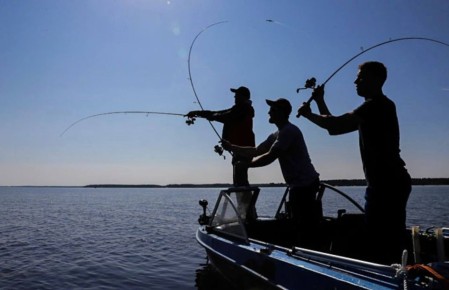 �������� ������������� ����������� ������ ����� �� ������������ ����������� ������ ������������� ������ ��� �������������� � 2026 ����