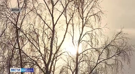 ���� � �������: 23 ������� 1993 ���� ����� ���� ���������� ������ �� ��������� ��������� ���������� ���������� ������� � ������� �������� ������ � ������������ � ��� ����������