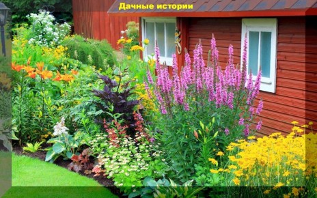 ����������� �����, ������� ����� ��������