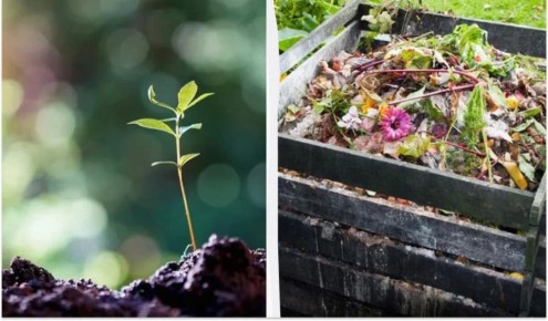 ����������� ����������: ��� ����� ��������� � ������� � ��� ����� ��������