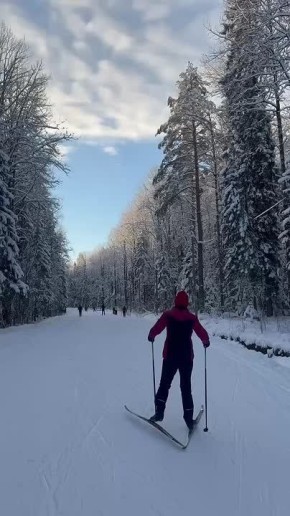 �����������: ������ �������� ����� � ��������� ������ ���������!