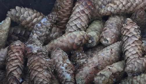 ���������� �������� � ������� ����� �������� � ������� �� ������ ������� � ����������� � ��� �������� �����