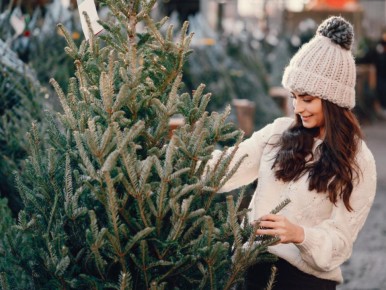 ������� ����� ���������� ����: ���� � ������ � ����������