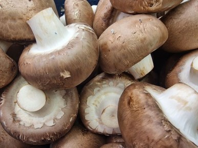 ��� ��������� ������ ����������: ��������, ������� ���� ���� ��������