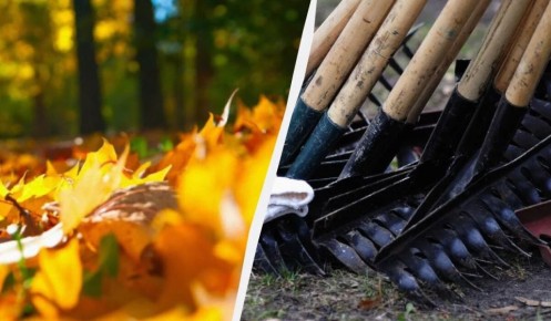 ������ ������� ������ � ������ ���� ����� �������