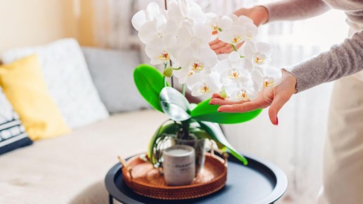 ��������� ���� ���������� ���������: ��� ��� �������� ����� �������