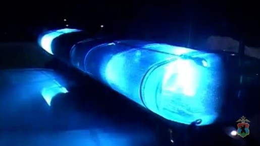 Сегежским полицейским пришлось стрелять, чтобы задержать нарушителя