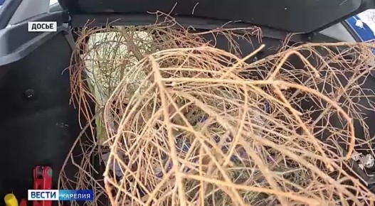 ����� ���������� ��� � ������������� ����� ����� �� ����������