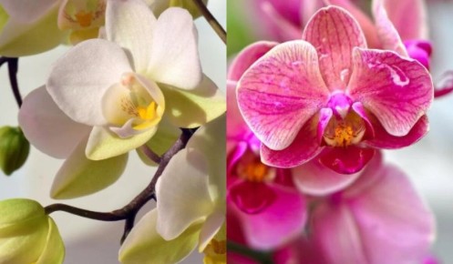 ��� ������� ������� �������� �������� �� ��������