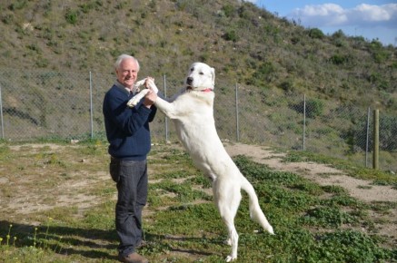 ������� ������: ��� ����� ����� � ������������ ����������� �������