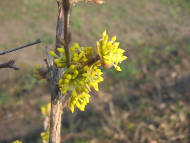 �����: ������ �� �������