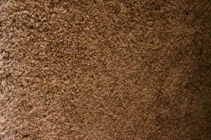 ��� �������� ����� �� ��������� �����: ��������� ������