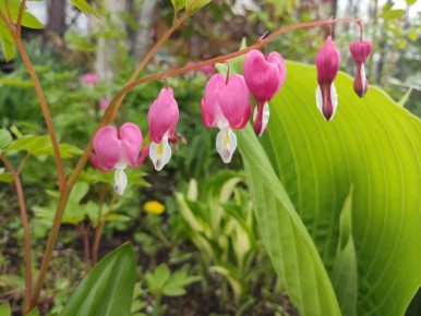 �����: ������������� �������� ������ ����