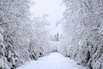 ������ � ������. ���� ���� ��������