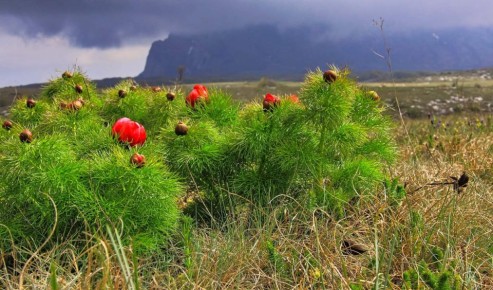 ������� ��������� ��������: ��� ������ �������� �������� �����