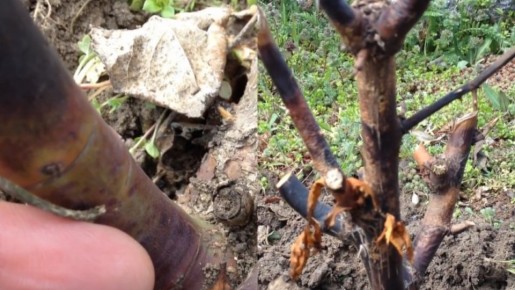 �������� �������������� ���: ����������� �����, ������� ������� ����� � ���������� �����