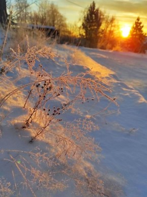 ����� � ������. ���� ��������