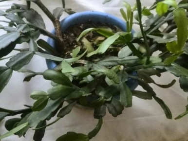 ������ ��������� �� ������ �������?